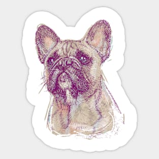 Dog Sticker